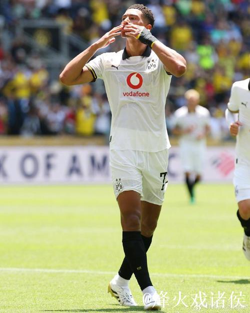 图片报:多特内部认为小贝林踢得过于保守,不过 图片报:多特内部认为小贝林踢得过于保守,不过